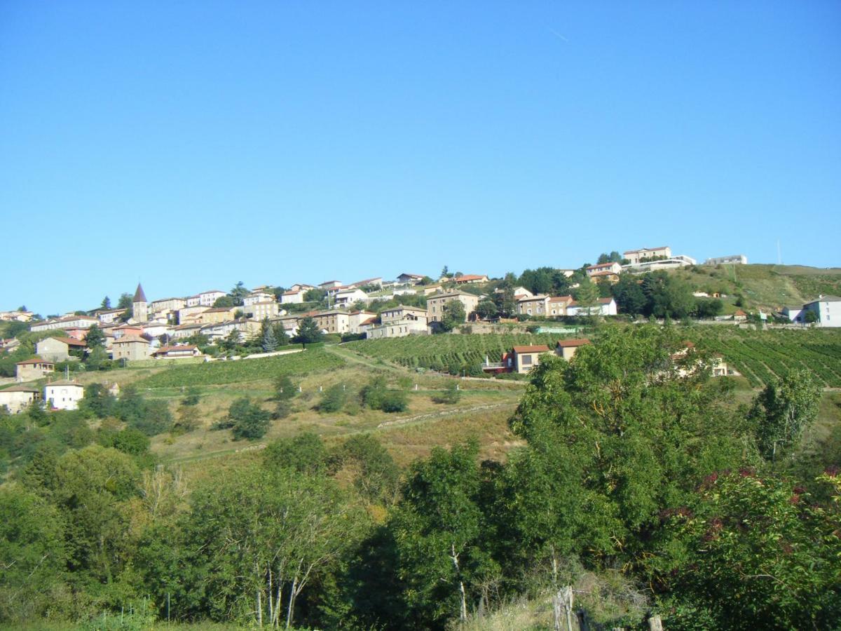 La Source Apartment Vaux-en-Beaujolais Exterior photo